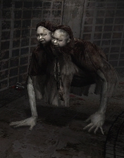 �����������